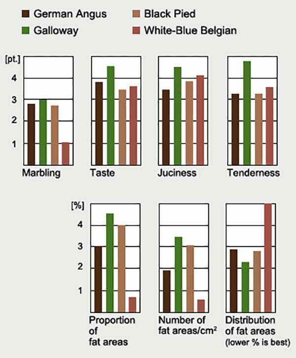 Cattle Breed Comparison Chart